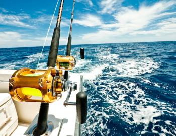 fishing pole on boat