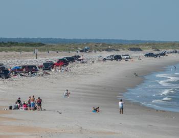 Carolina Beach Freeman Park