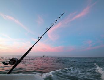 deep sea fishing charter