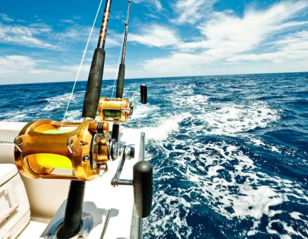 fishing pole on boat