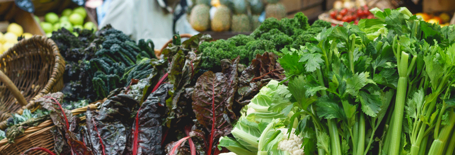 row of green lettuces at farmers market