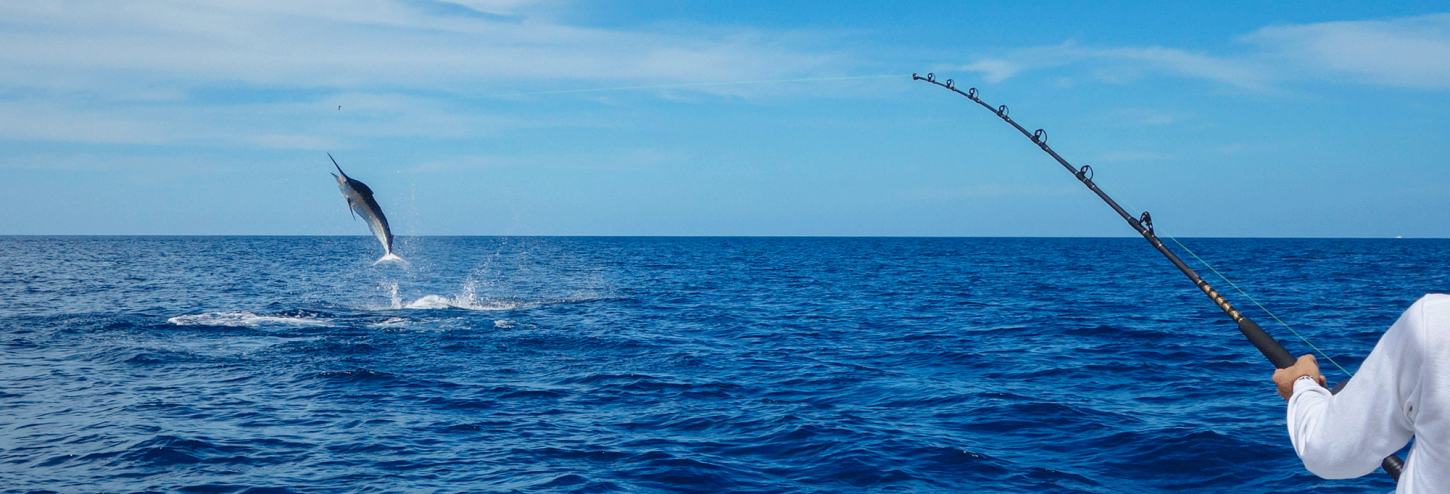 wrightsville fishing