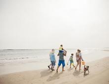 Dog on the beach with a family