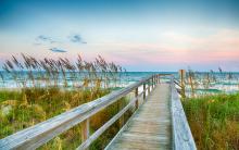 view of a boardwalk to the beach flanked by sand dunes and waving beach grasses 