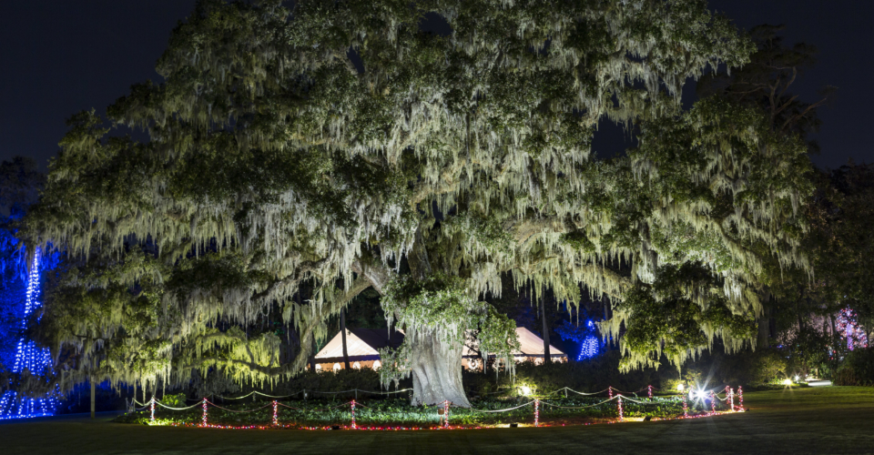 Enchanted Airlie At Airlie Gardens 2019 Wrightsville Carolina